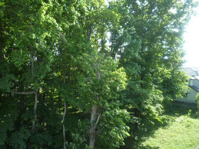 13/25 その他画像