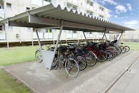 14/19 その他画像