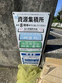 15/17 その他画像