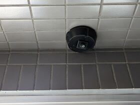 16/17 その他画像