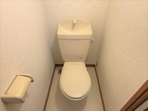 8/15 その他画像