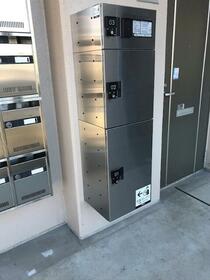 16/17 その他画像