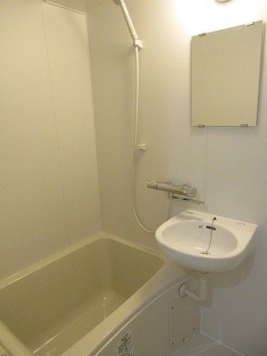 5/11 その他画像