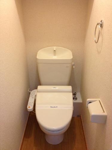 11/20 その他画像