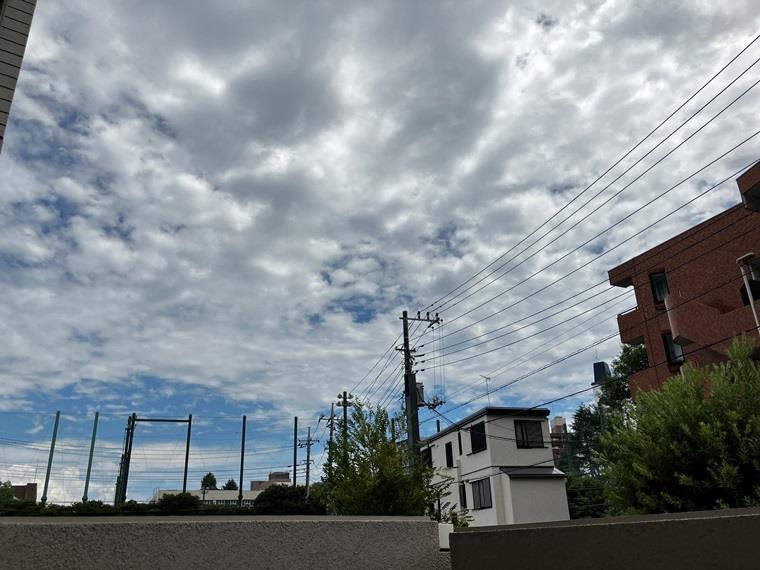 16/19 その他画像