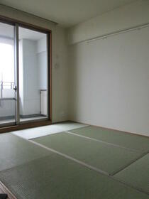 13/15 その他画像