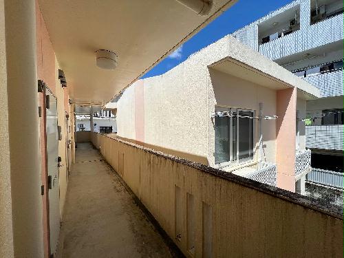 13/16 その他画像