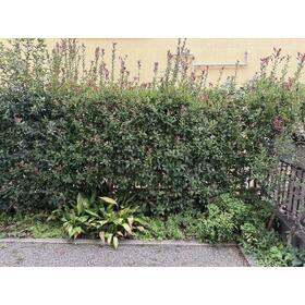 12/14 その他画像