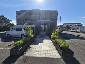 3/16 その他画像