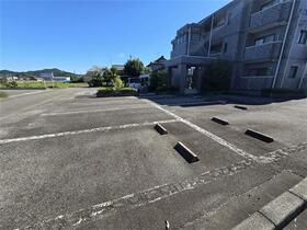 5/16 その他画像