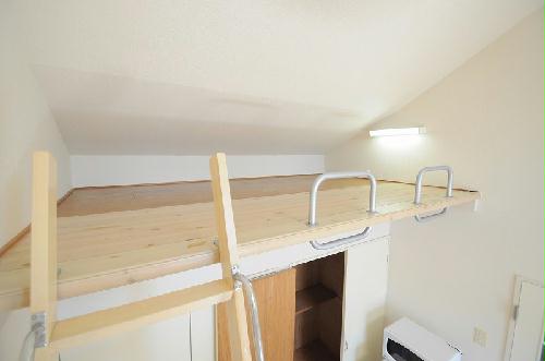 8/14 その他画像