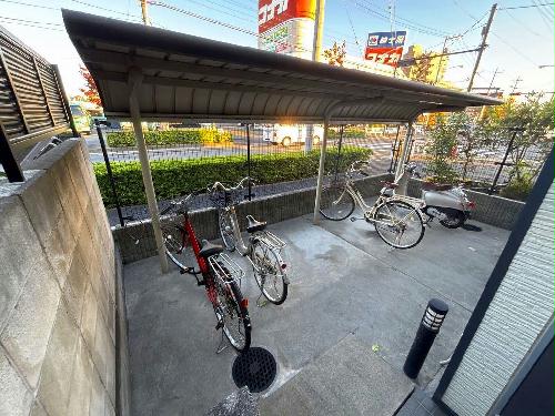 5/11 その他画像