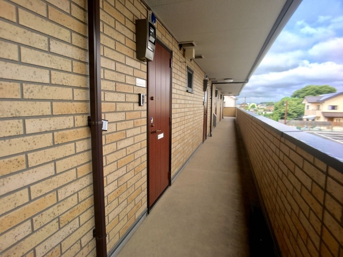 15/25 その他画像