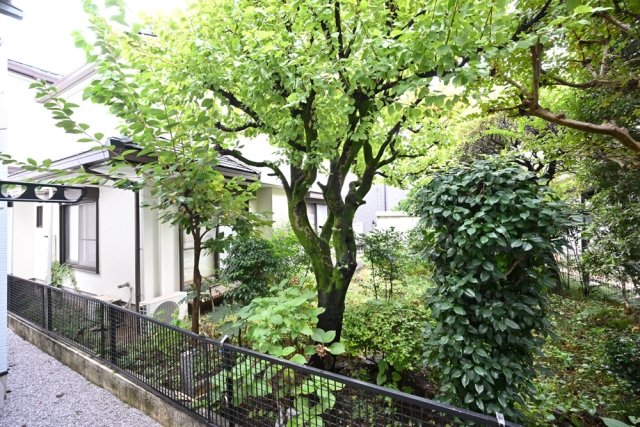 19/22 その他画像