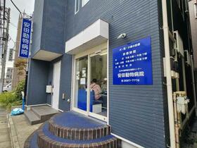 17/17 その他画像