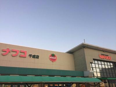 11/14 その他画像