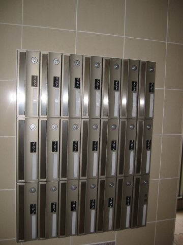 11/21 その他画像