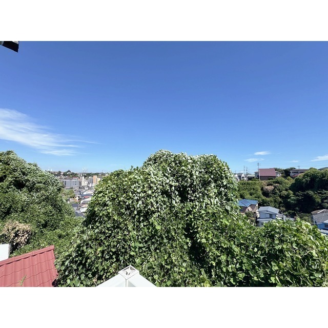 11/23 その他画像