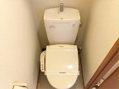 11/14 その他画像