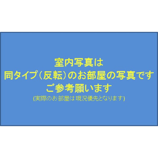 11/13 その他画像
