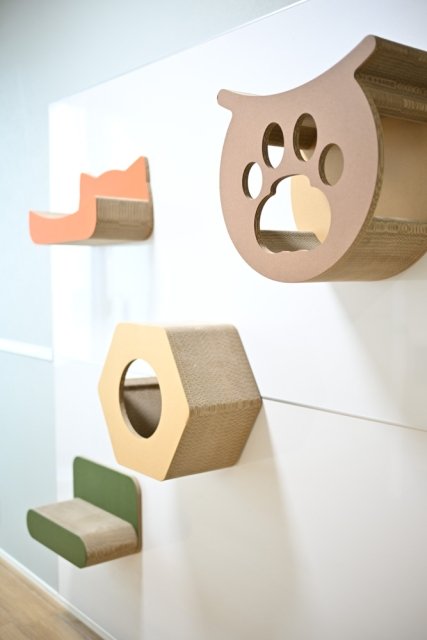 20/23 その他画像