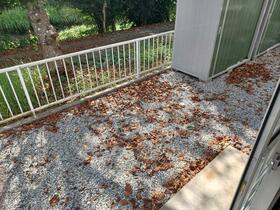 16/16 その他画像