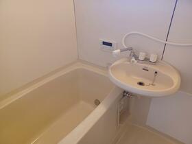 5/16 その他画像