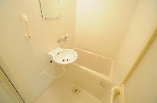 11/14 その他画像