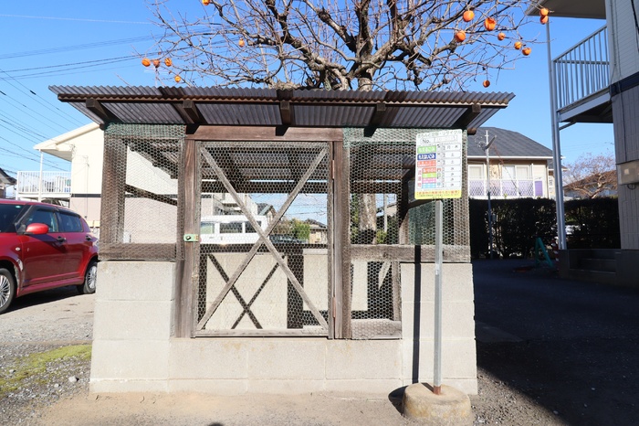 15/17 その他画像