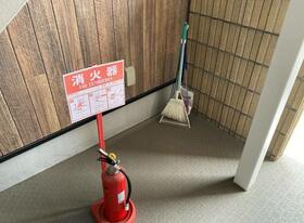 11/14 その他画像