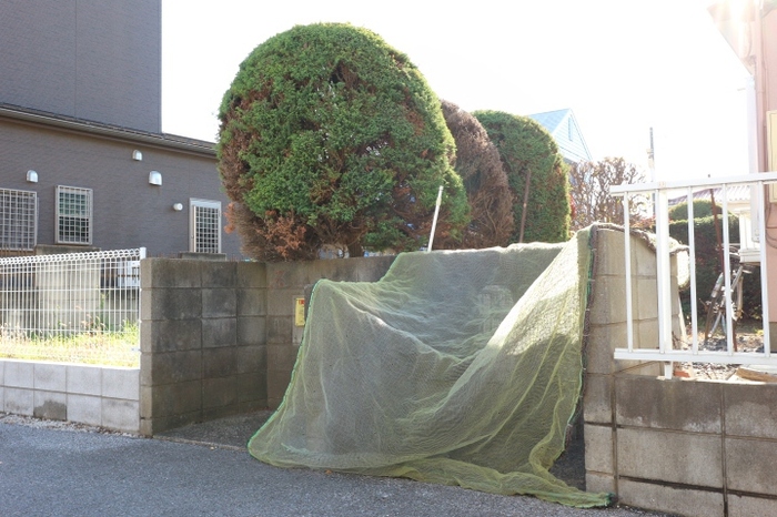 13/13 その他画像