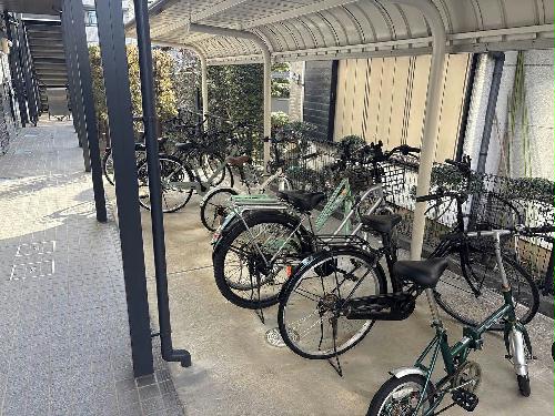 11/14 その他画像