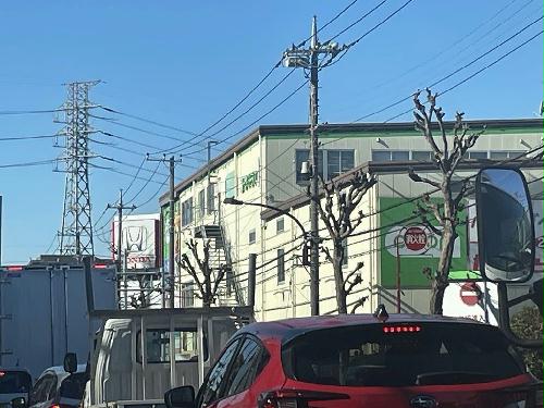 11/15 その他画像