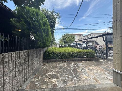 8/14 その他画像