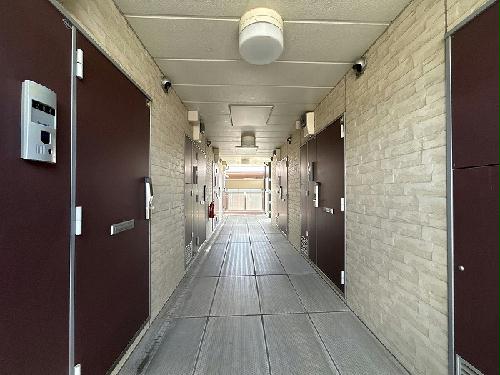 8/14 その他画像