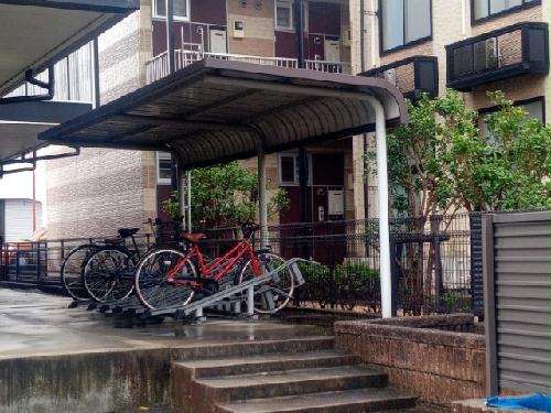 12/14 その他画像