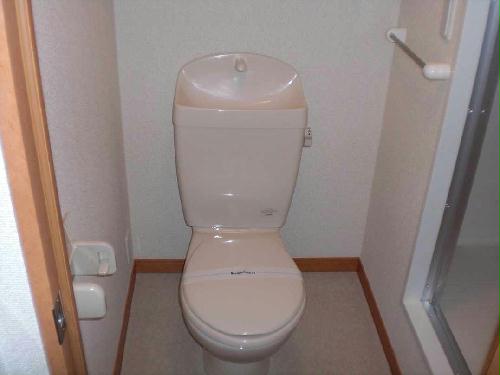 13/14 その他画像