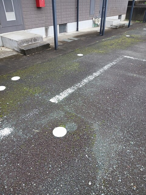 7/19 その他画像