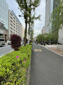 11/12 その他画像