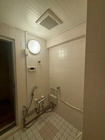 11/11 その他画像