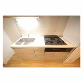 2/11 その他画像