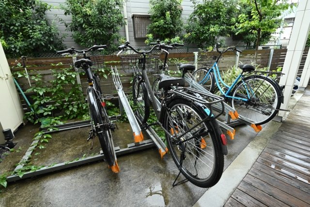 15/29 その他画像