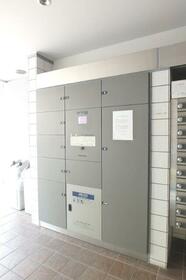 15/16 その他画像