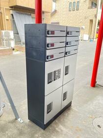 8/19 その他画像