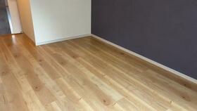 4/16 その他画像