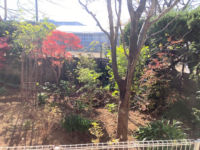 21/21 その他画像