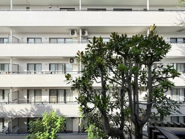 25/29 その他画像