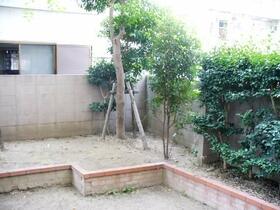 5/11 その他画像