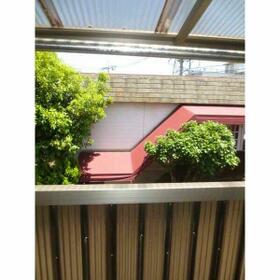 11/11 その他画像