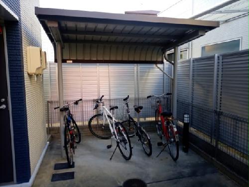 11/14 その他画像